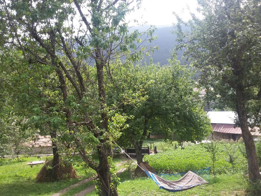 Guest House Adelina Mestia Esterno foto